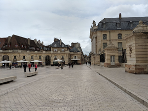 Toiletteur Dijon